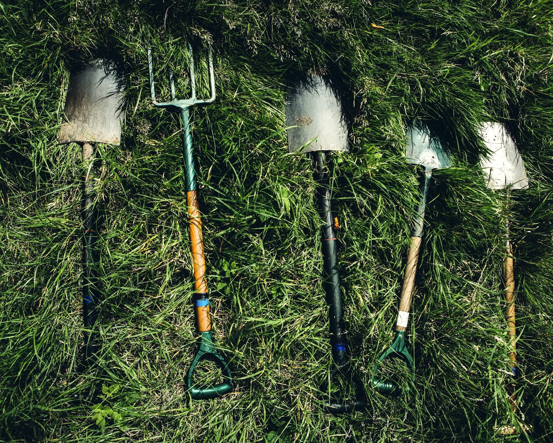 Bêches et fourche alignées dans l’herbe, prêtes pour le chantier